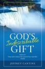 God'S Indescribable Gift - Preview