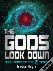 Capa do artigo Gods Look Down