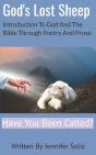 God'S Lost Sheep - Preview