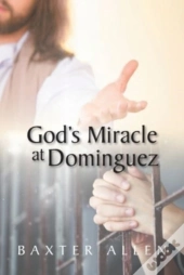 God'S Miracle At Dominguez