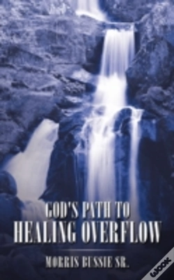 Capa do artigo God'S Path To Healing Overflow
