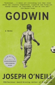 Capa do artigo Godwin