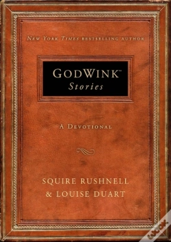 Capa do artigo Godwink Stories