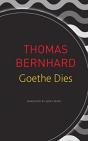 Goethe Dies - Preview