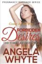 Going All The Way: Forbidden Desires - T - Preview