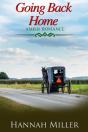 Going Back Home - Preview