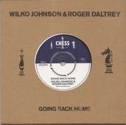 Capa do artigo Going Back Home - Vinil