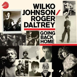 Capa do artigo Going Back Home - Vinil