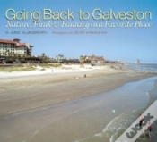 Capa do artigo Going Back To Galveston