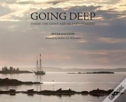 Capa do artigo Going Deep