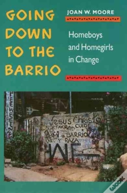 Capa do artigo Going Down To The Barrio