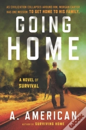 Capa do artigo Going Home