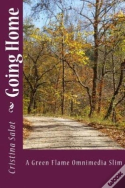 Capa do artigo Going Home