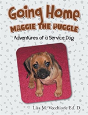 Going Home - Preview