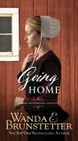 Going Home - Preview