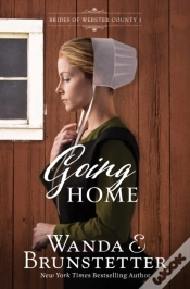 Capa do artigo Going Home