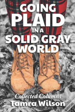 Capa do artigo Going Plaid In A Solid Gray World