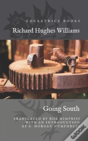 Capa do artigo Going South
