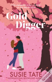 Capa do artigo Gold Digger