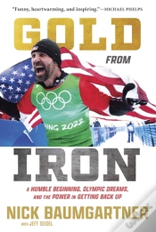 Capa do artigo Gold From Iron