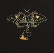 Capa do artigo Gold in a Brass Age - Vinil