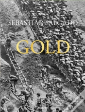 Capa do artigo Gold