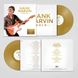 Capa do artigo Gold - Vinil