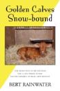 Golden Calves Snow-Bound - Preview