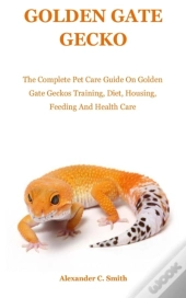Golden Gate Gecko