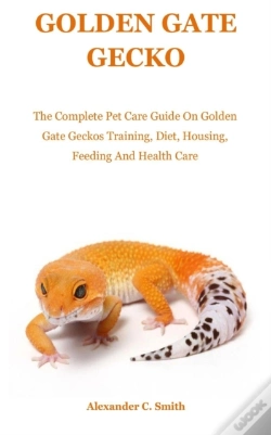 Capa do artigo Golden Gate Gecko