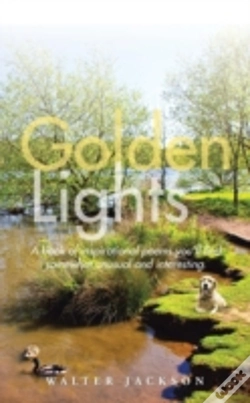 Capa do artigo Golden Lights