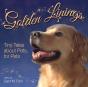 Golden Linings - Preview