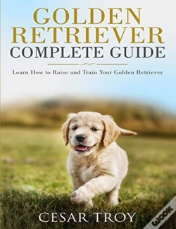 Capa do artigo Golden Retriever Complete Guide