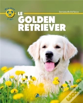 Golden Retriever-(F)