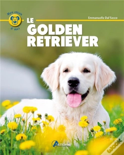 Capa do artigo Golden Retriever-(F)