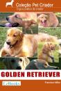 Golden Retriever - Preview