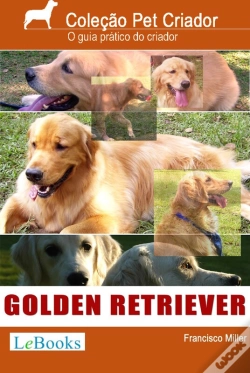 Capa do artigo Golden Retriever