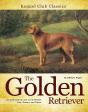Golden Retriever - Preview