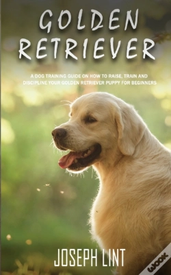 Capa do artigo Golden Retriever