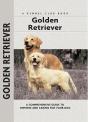 Golden Retriever - Preview