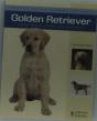 Golden Retriever - Preview