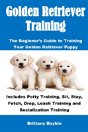Golden Retriever Training - Preview