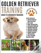 Capa do artigo Golden Retriever Training