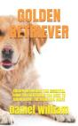 Golden  Retriever - Preview
