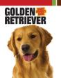 Golden Retriever - Preview