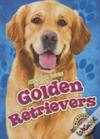 Golden Retrievers