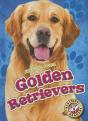 Golden Retrievers - Preview