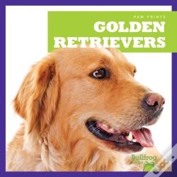 Capa do artigo Golden Retrievers