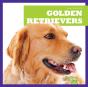 Golden Retrievers - Preview