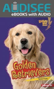 Capa do artigo Golden Retrievers